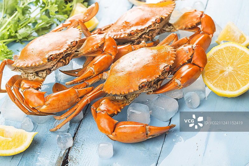 螃蟹图片素材