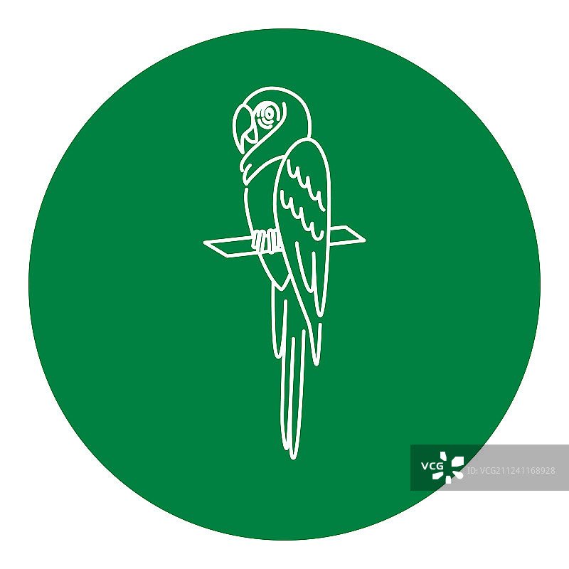 细线风格金刚鹦鹉图标图片素材