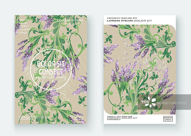 手绘薰衣草花卉图案封面设计图片素材