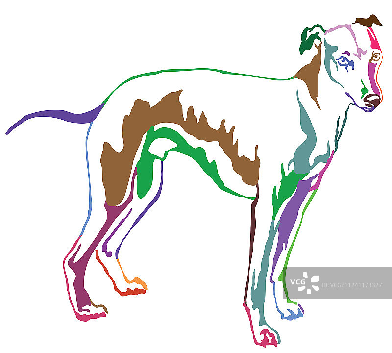 惠比特犬站立装饰肖像图片素材