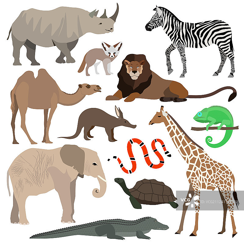 非洲动物系列：大象、长颈鹿、水牛图片素材