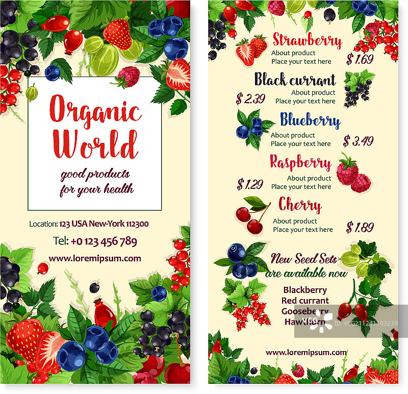 浆果和园林水果价格表图片素材