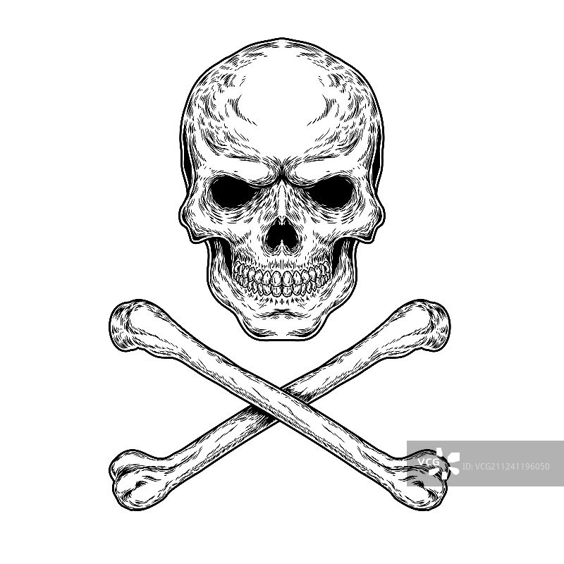 骷髅和交叉骨图片素材