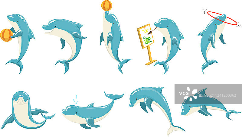 宽吻海豚表演特技图片素材