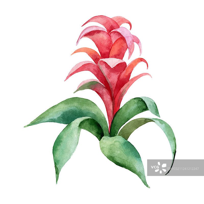 水彩手绘图片素材