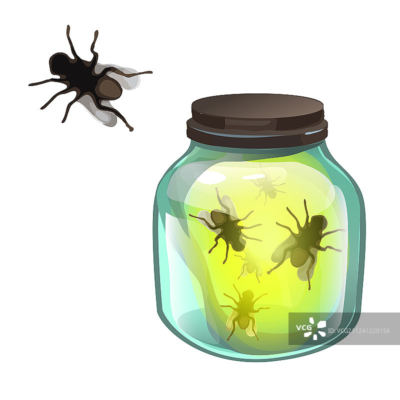 装满苍蝇的透明玻璃罐图片素材