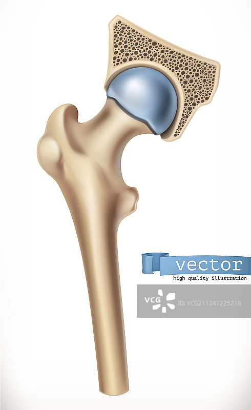人体骨骼医学3D关节图标图片素材