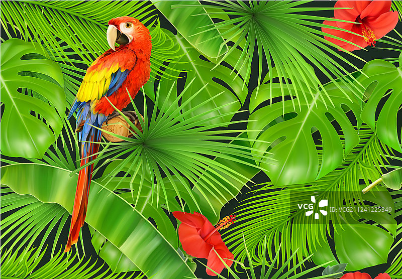丛林叶子和鹦鹉无缝3D图案图片素材