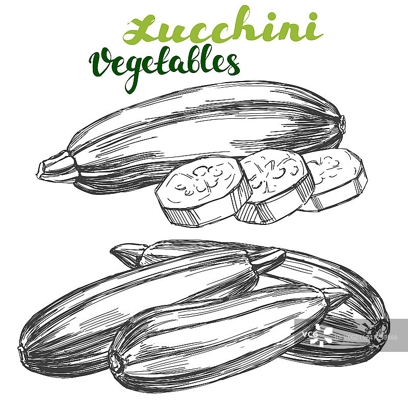 手绘西葫芦蔬菜合集图片素材