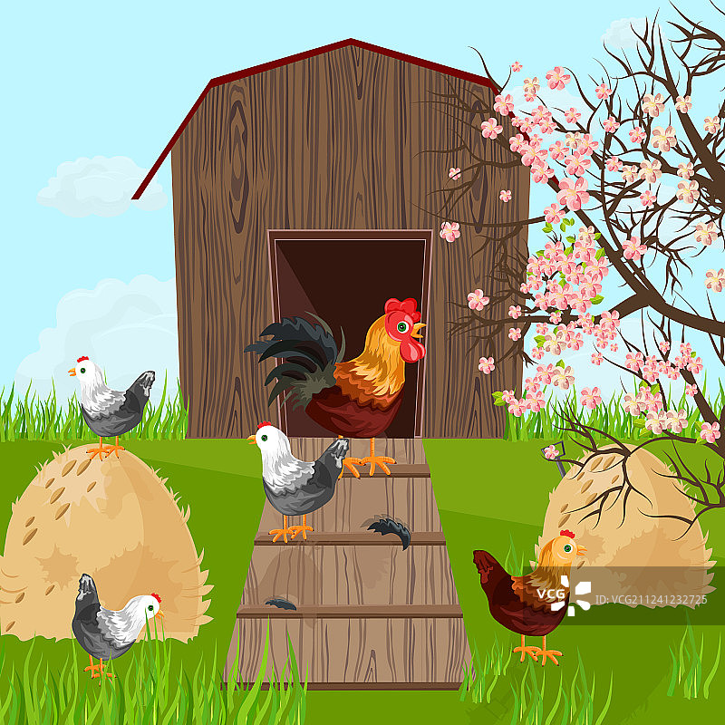 春季绿色养鸡场图片素材
