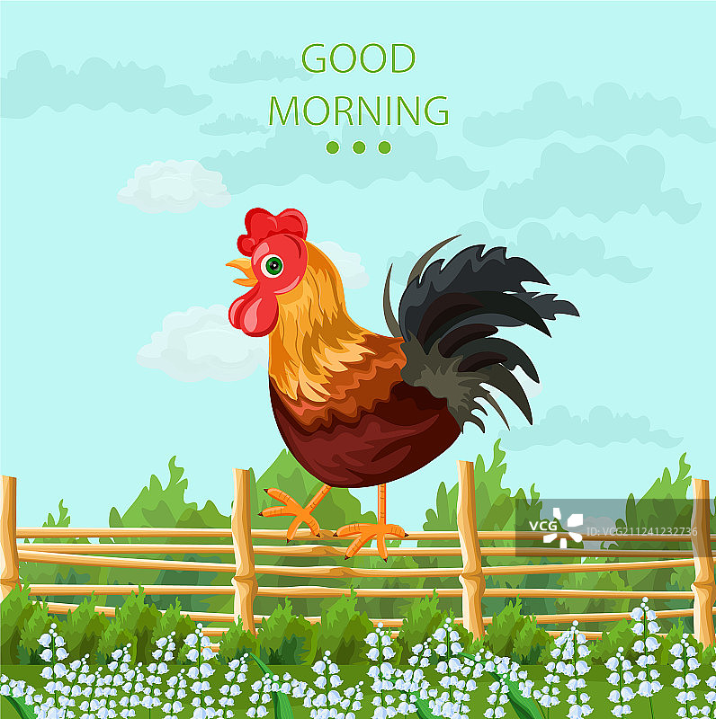 彩色公鸡设计图片素材