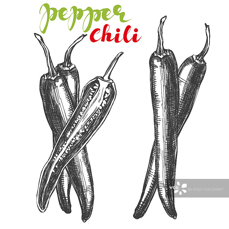 手绘辣椒蔬菜套装图片素材