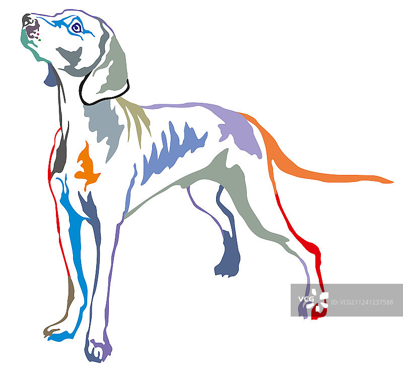 彩色装饰立式人像图片素材