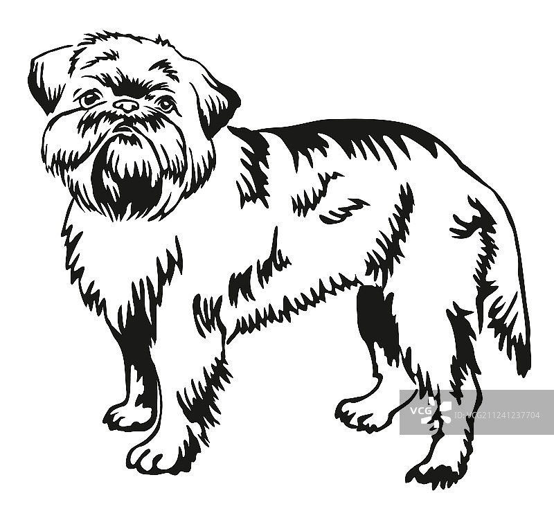 布鲁塞尔格里芬犬站立装饰肖像图片素材