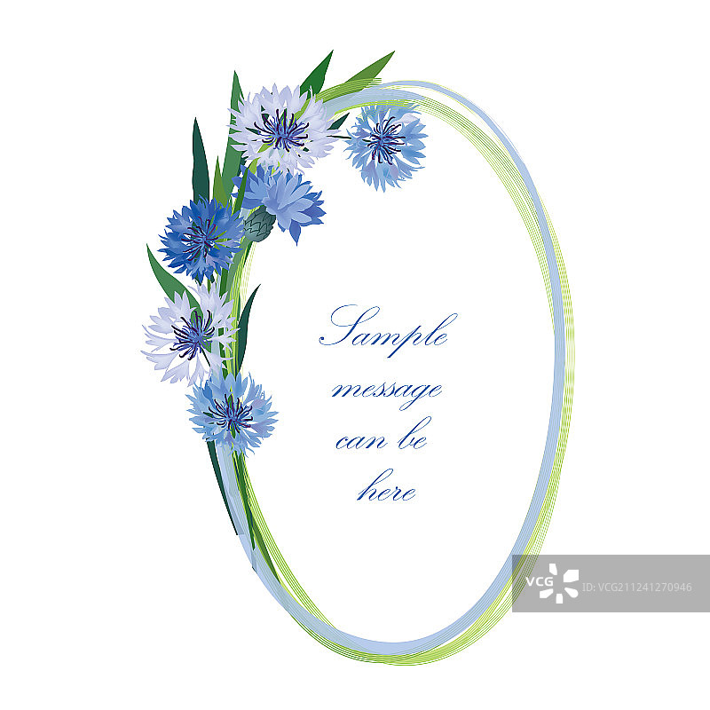 矢车菊花束椭圆形花朵边框图片素材