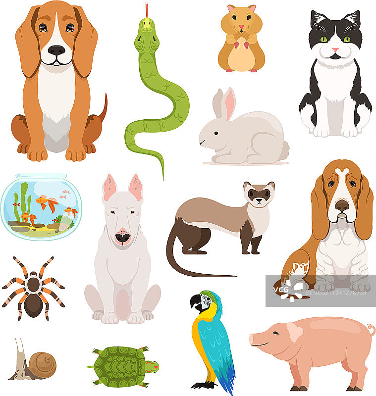 家养动物猫咪大合集图片素材