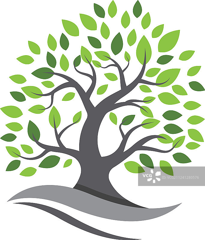 树叶生态自然设计图片素材