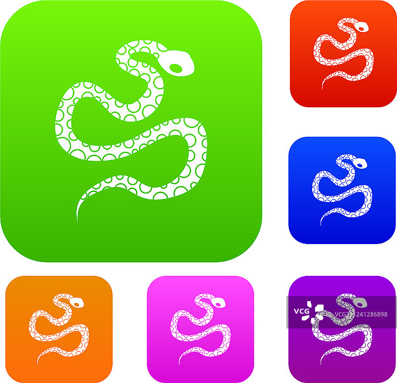 Python蛇颜色合集图片素材