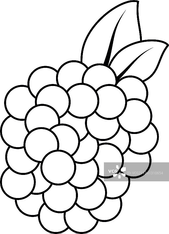 独立黑莓图片素材