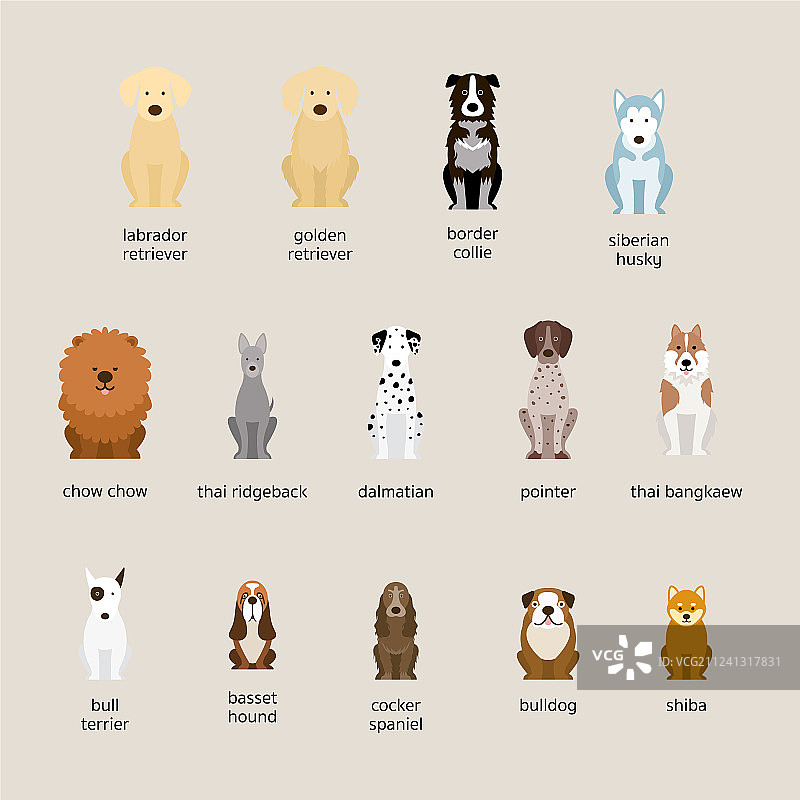 大中型犬品种合集图片素材