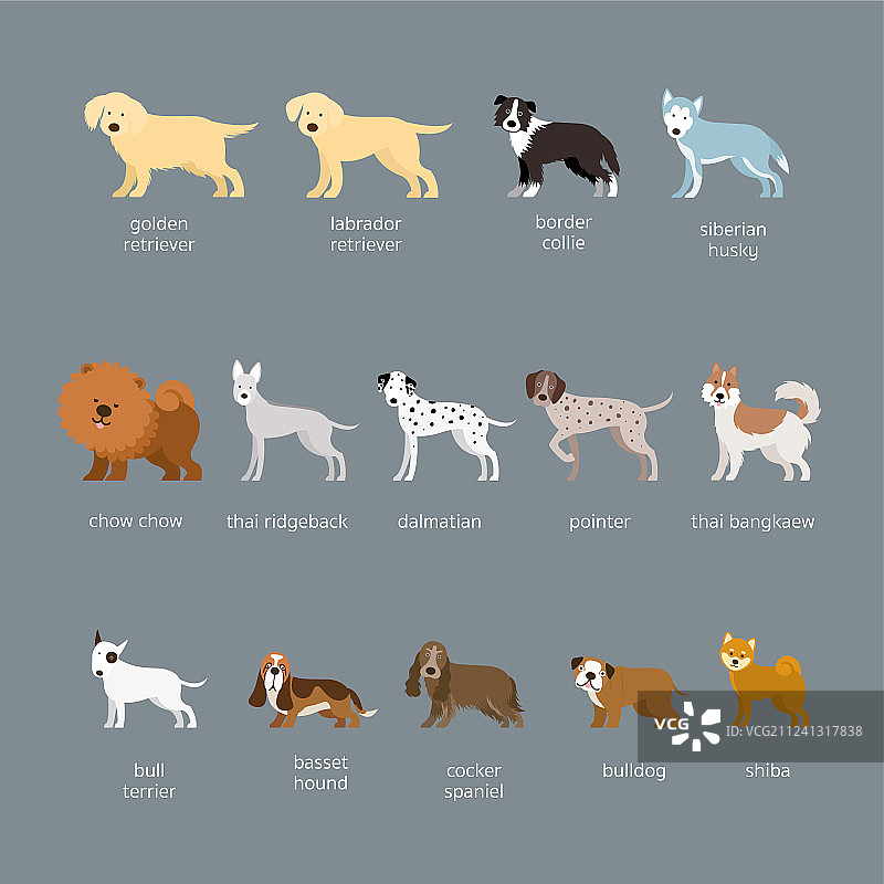 大中型犬品种合集图片素材