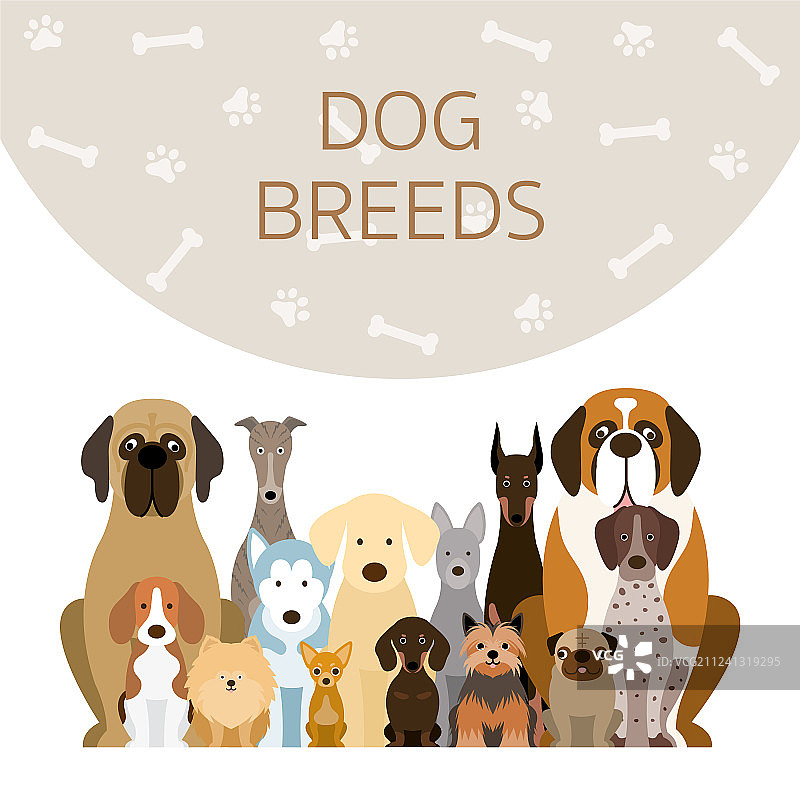 犬种群图片素材