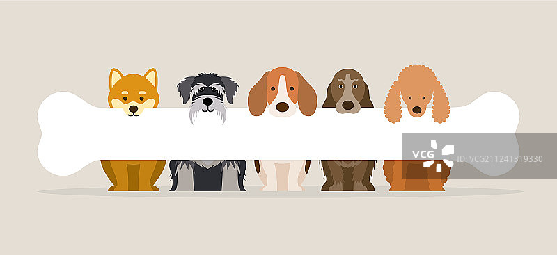 一群 holding 骨头的犬种图片素材