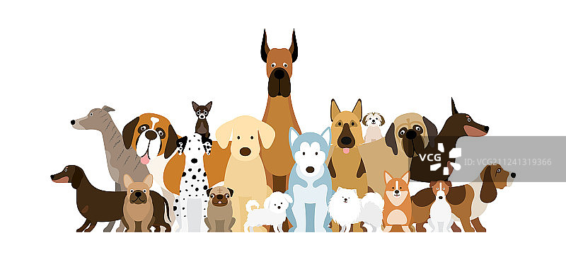 犬种群图片素材