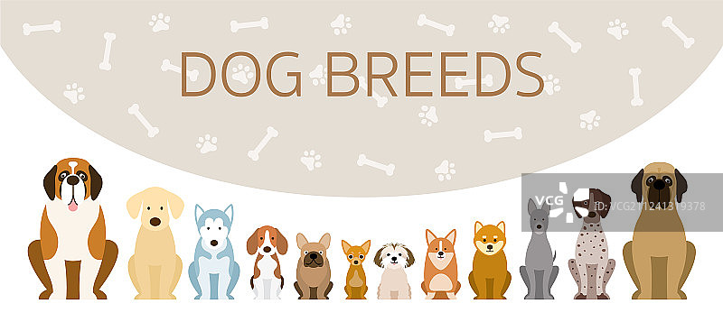 犬种群图片素材