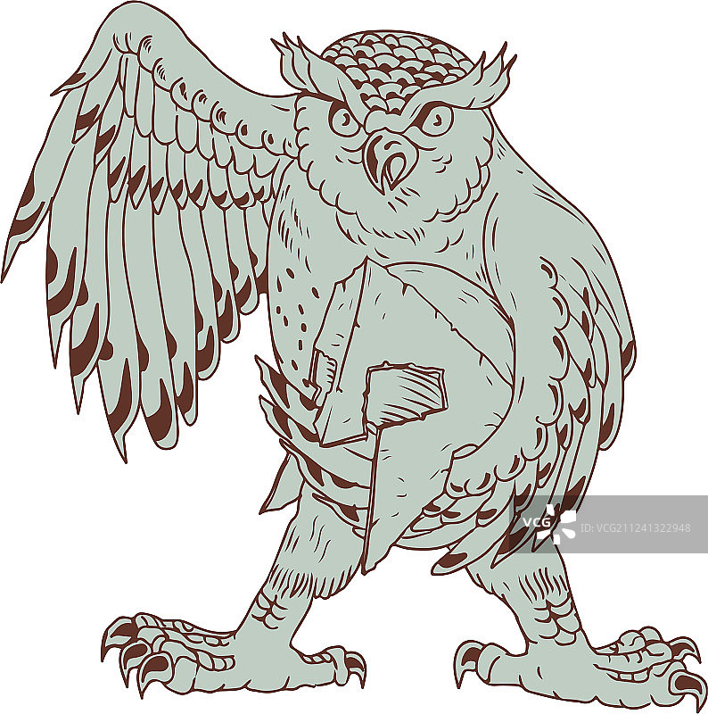 猫头鹰拿着斯巴达头盔的绘画图片素材