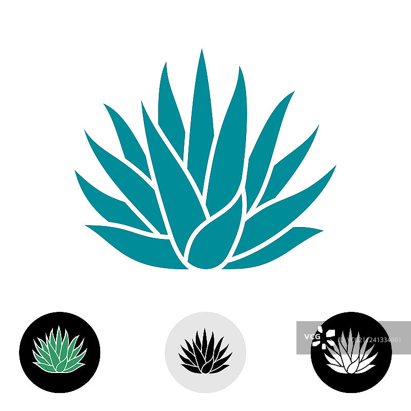 蓝色龙舌兰植物剪影图片素材