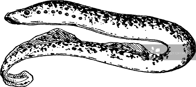 复古风格的灯具图片素材