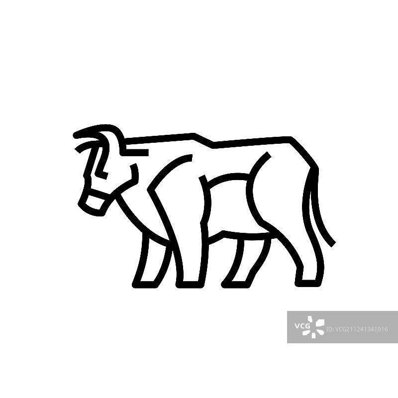 公牛或母牛的线性程式化绘画图片素材
