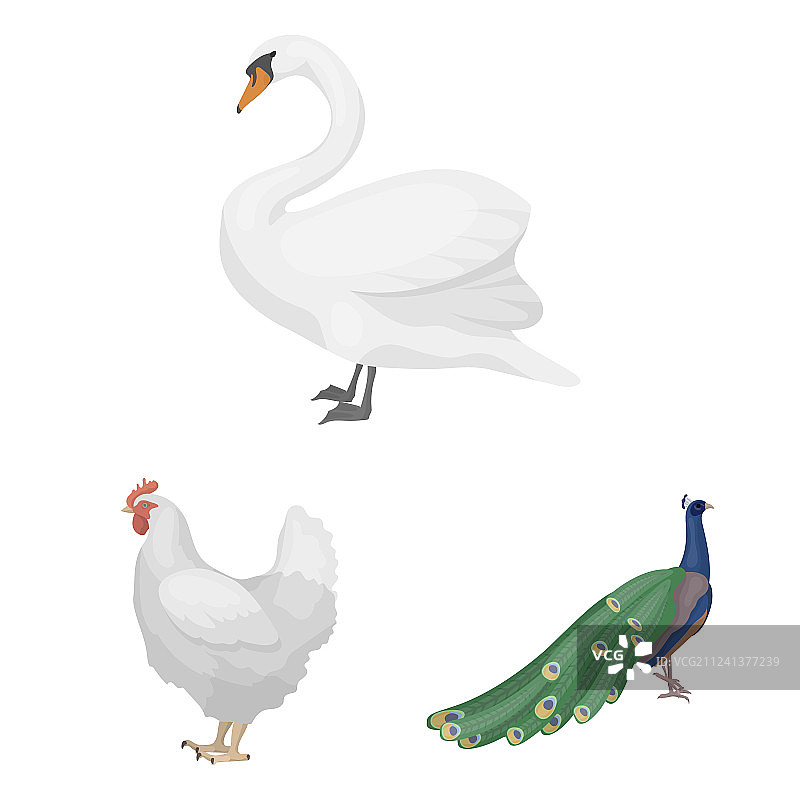 鸟类卡通图标合集图片素材