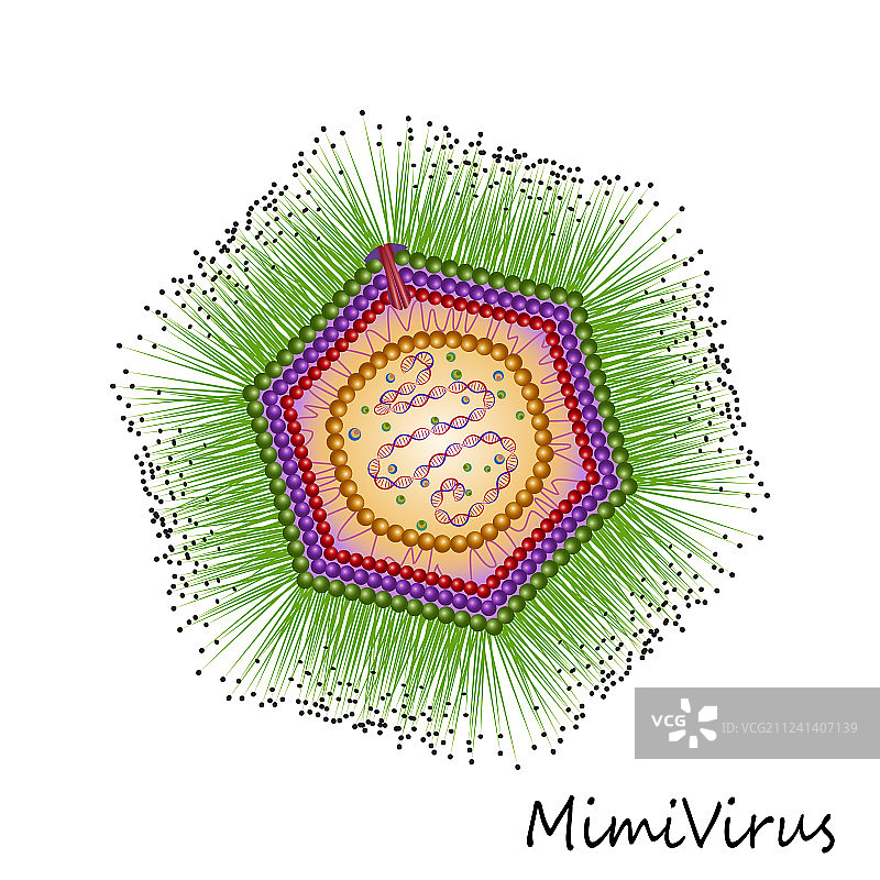 彩色拟病毒颗粒结构图片素材