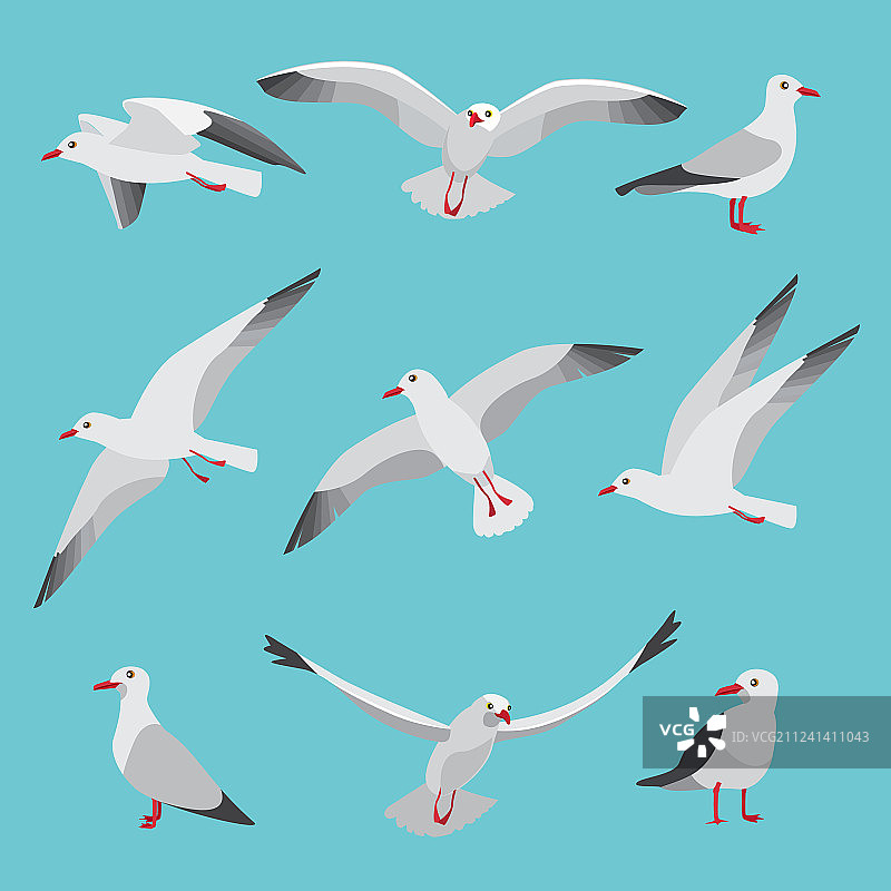 卡通大西洋海鸥素材图片素材