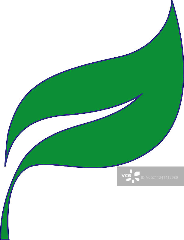 充满异国情调的彩色自然植物叶子设计图片素材