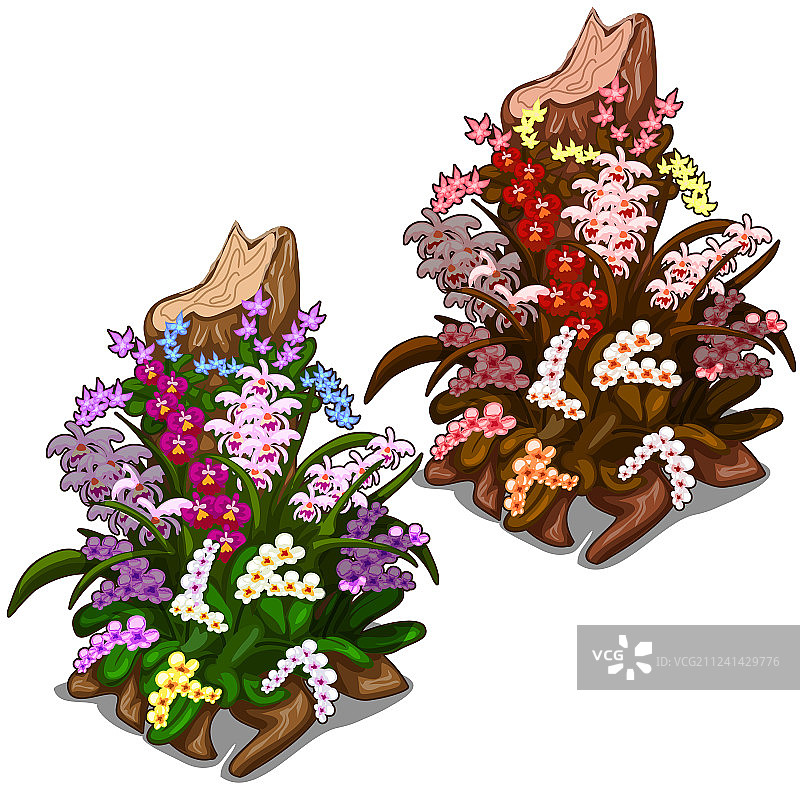 长满彩色野花的老树桩图片素材