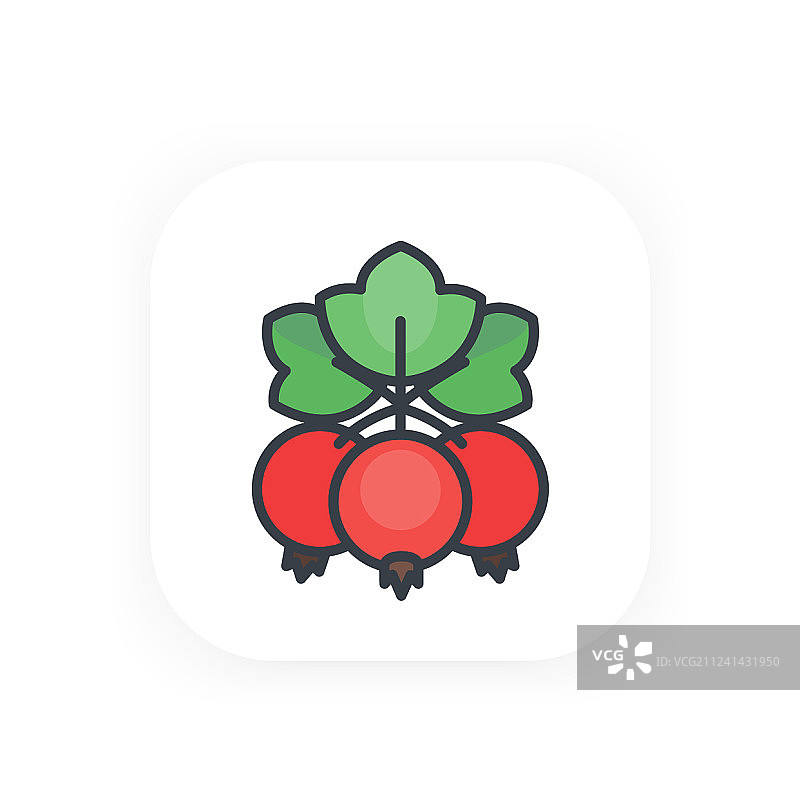 红醋栗图标图片素材