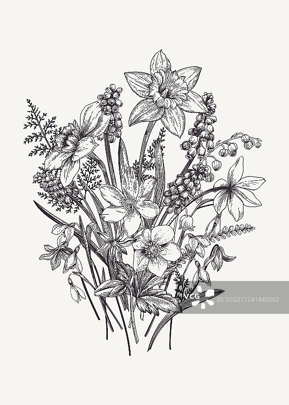 春季花束图片素材