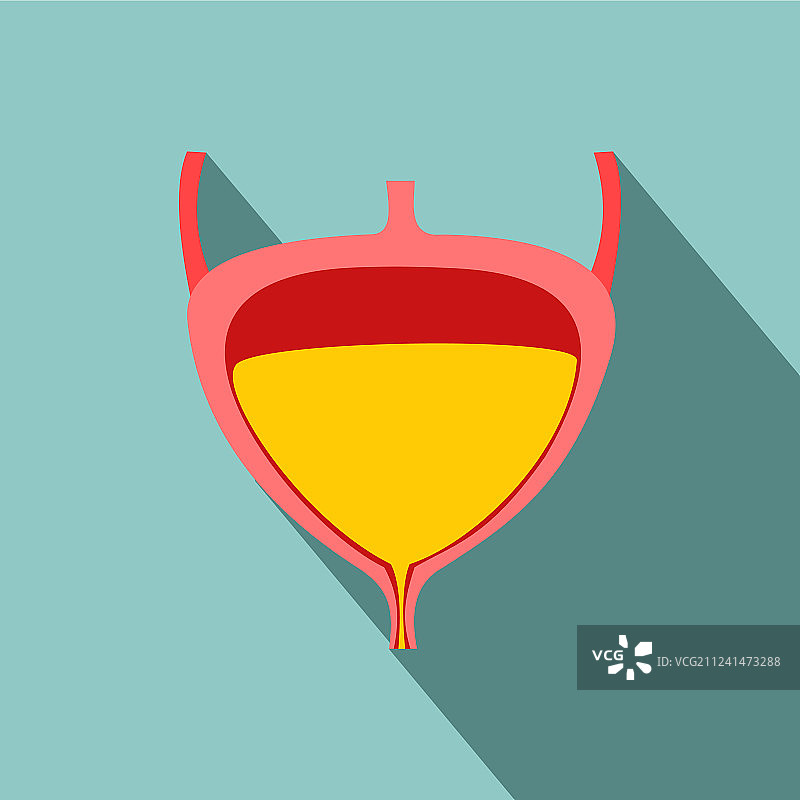 扁平现代设计带阴影膀胱图标图片素材