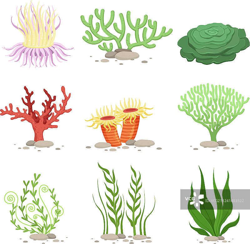 有趣的水下植物素材图片素材