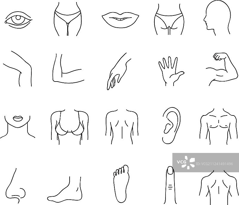 男女身体部位线条图标合集图片素材
