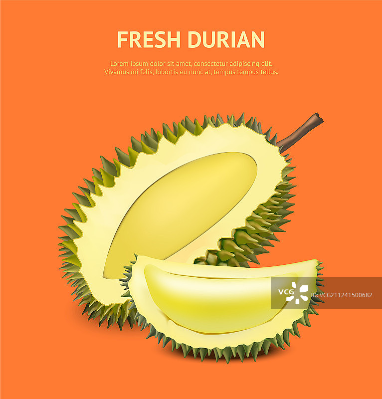 逼真3D榴莲水果卡片海报图片素材