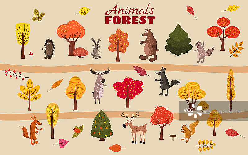 一套可爱的森林动物：熊、浣熊和松鼠图片素材