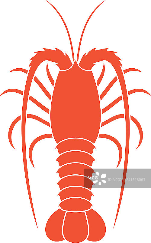 多刺龙虾图片素材