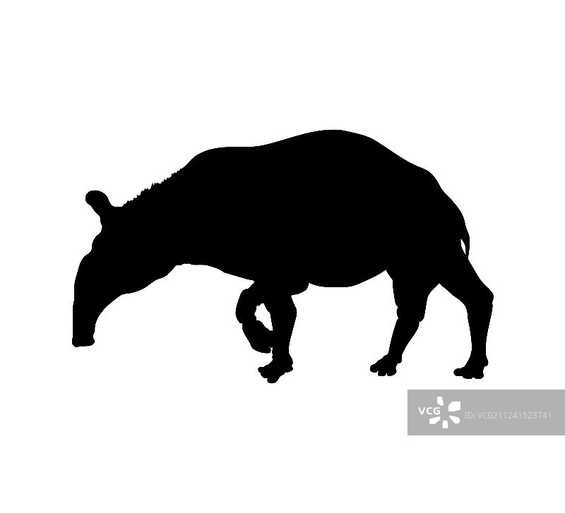 貘黑色剪影独立图像图片素材