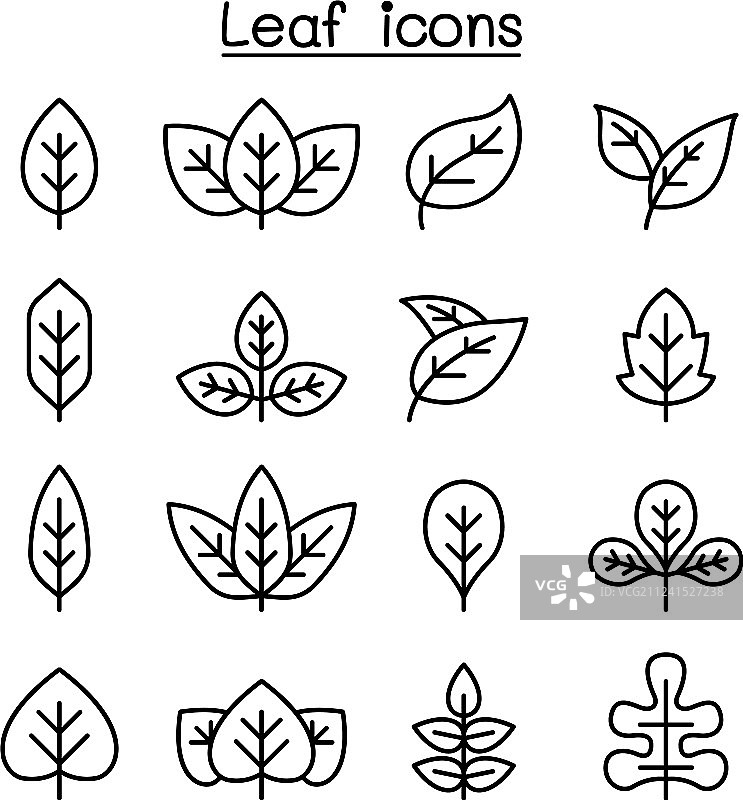 细线条风格树叶图标集图片素材