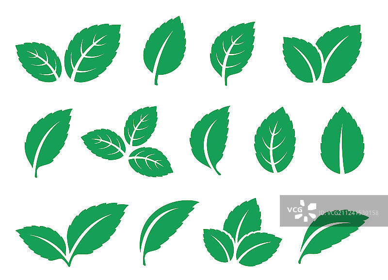 白色背景上的蓝色薄荷叶图标集图片素材