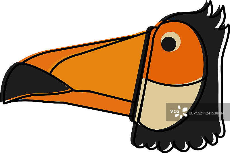 巨嘴鸟头部图片素材